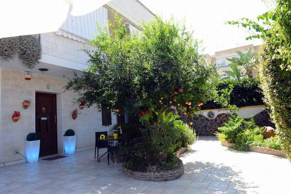 Profumo Di Mare B&B Gallipoli Exterior photo